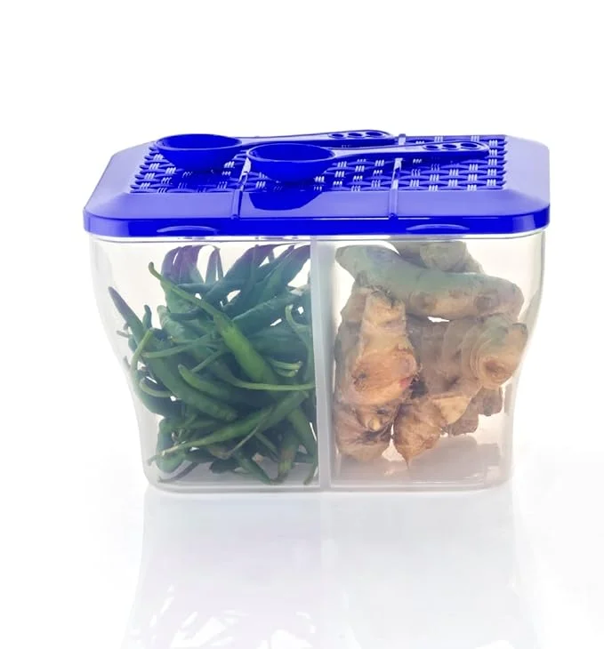 Dual Compartment Kitchen Storage Container 2000 ml